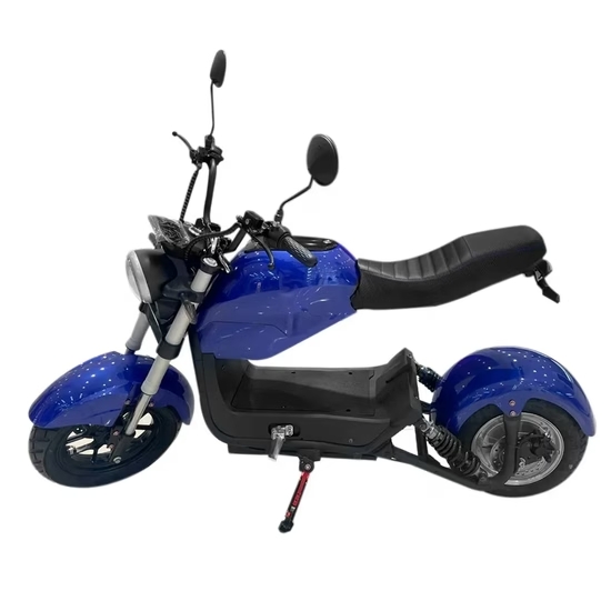 Moto Electrica IZ Y21