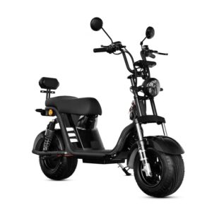 Moto Electrica Smart Wheel X12