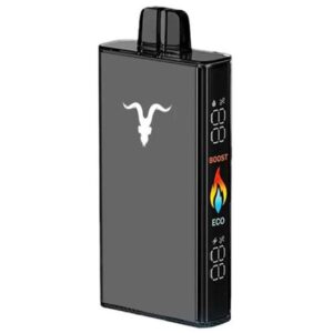 Vaper Ignite V250 Menthol 25000 Puffs x10 unidades